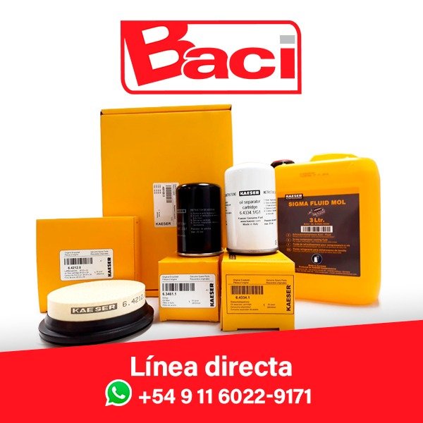 Asistencia técnica